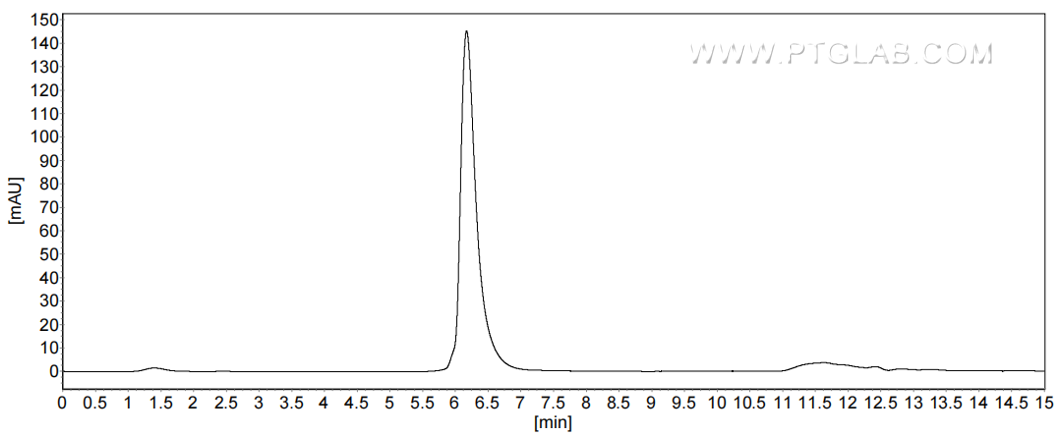 The purity of Human CEA/CD66e was greater than 90% as determined by SEC-HPLC.