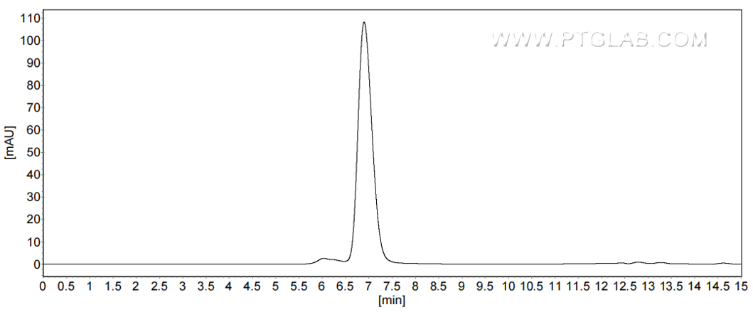 The purity of Human ICAM-1/CD54 was greater than 90% as determined by SEC-HPLC.