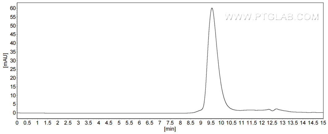 The purity of Mouse Lipocalin-2/NGAL was greater than 90% as determined by SEC-HPLC.