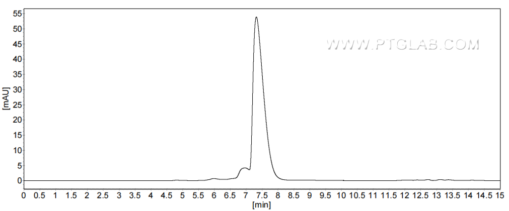 The purity of Human CD90 was greater than 90% as determined by SEC-HPLC.