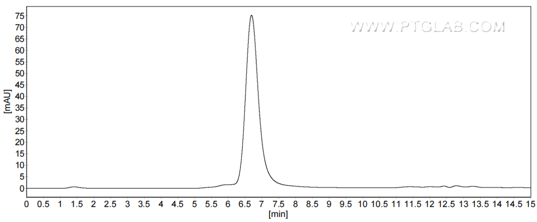 The purity of Mouse CX3CL1 was greater than 90% as determined by SEC-HPLC.