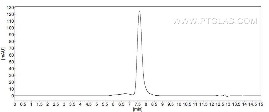 The purity of Mouse CD80 was greater than 90% as determined by SEC-HPLC. The purity of Mouse CD80 was greater than 90% as determined by SEC-HPLC.