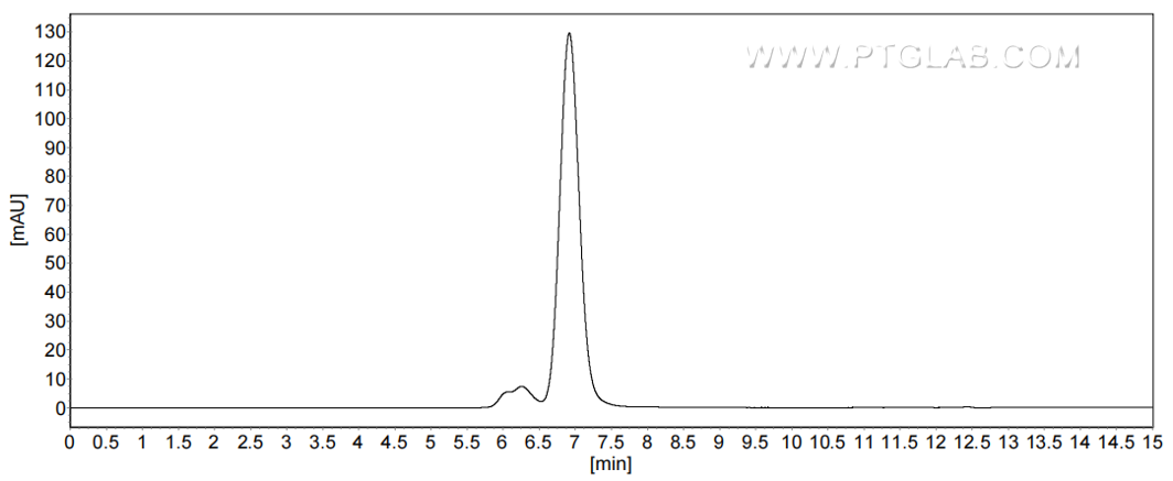 The purity of Mouse CD200 was greater than 90% as determined by SEC-HPLC.