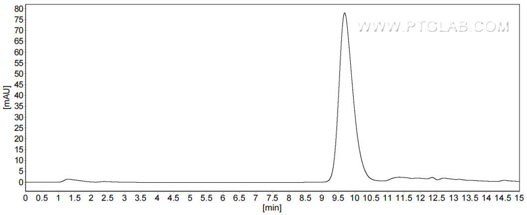 The purity of Rat Lipocalin-2/NGAL was greater than 90% as determined by SEC-HPLC.