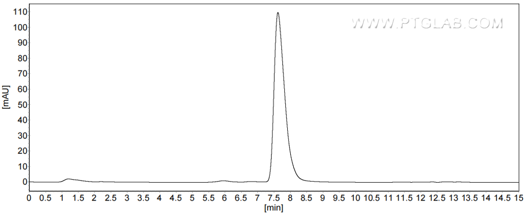 The purity of Human SPARC was greater than 90% as determined by SEC-HPLC.