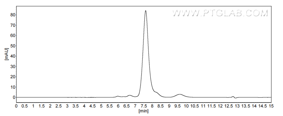 The purity of Human Dectin-1 was greater than 90% as determined by SEC-HPLC.