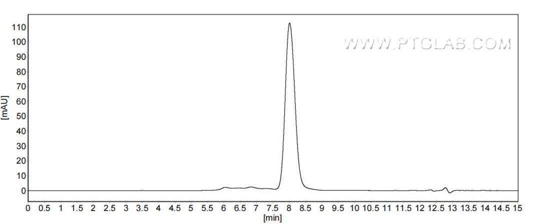 The purity of Mouse CD2 was greater than 90% as determined by SEC-HPLC.