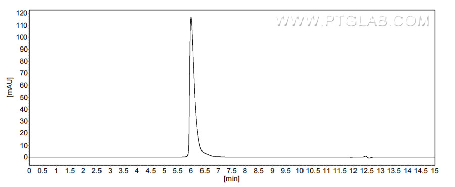 The purity of Mouse CEACAM-1/CD66a was greater than 90% as determined by SEC-HPLC.