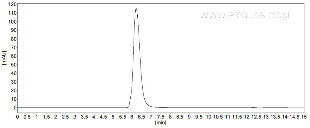 The purity of Rat CD68 was greater than 90% as determined by SEC-HPLC.