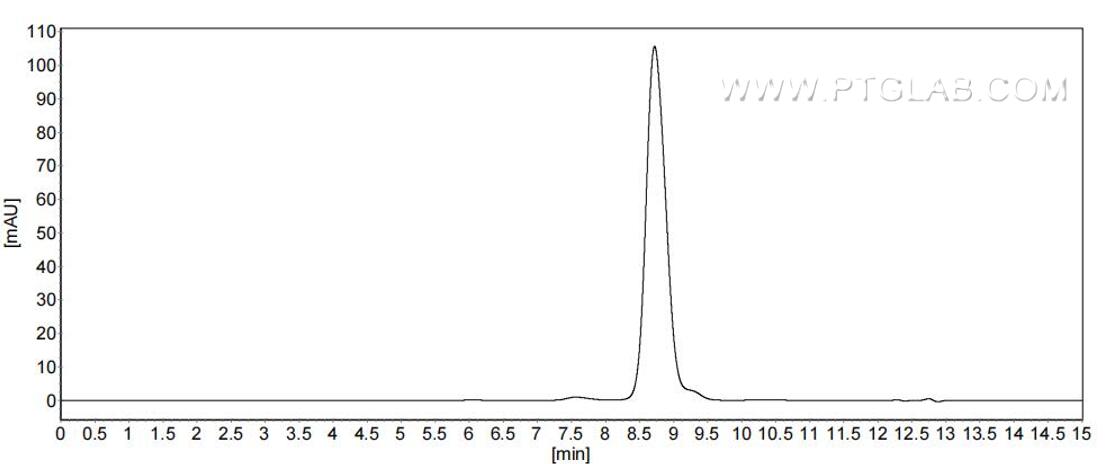 The purity of Human CD90 was greater than 90% as determined by SEC-HPLC.