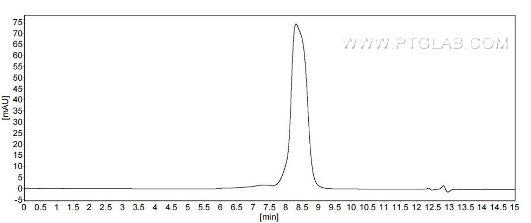 The purity of Human CD82 was greater than 90% as determined by SEC-HPLC.