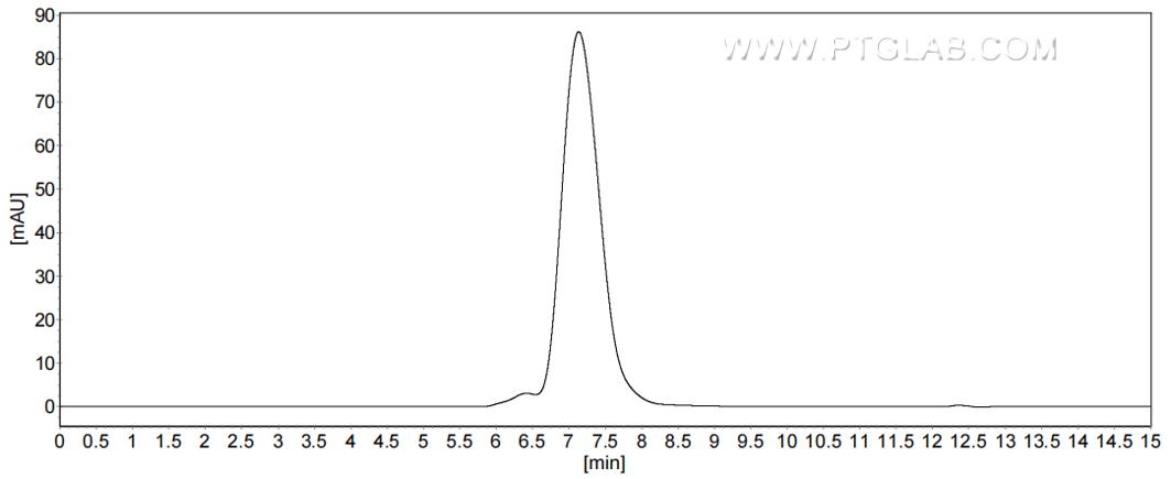 The purity of Human CD24 was greater than 90% as determined by SEC-HPLC.