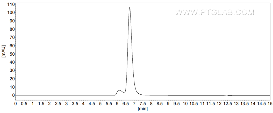 The purity of Human CD40 was greater than 90% as determined by SEC-HPLC.