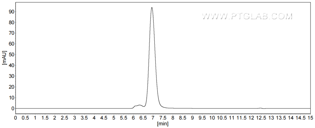 The purity of Mouse PD-L2/B7-DC was greater than 90% as determined by SEC-HPLC.