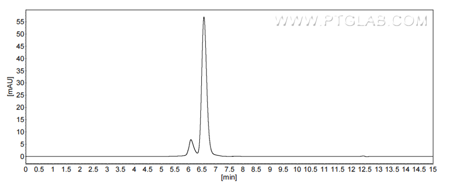 The purity of Rat CD4 was greater than 90% as determined by SEC-HPLC.