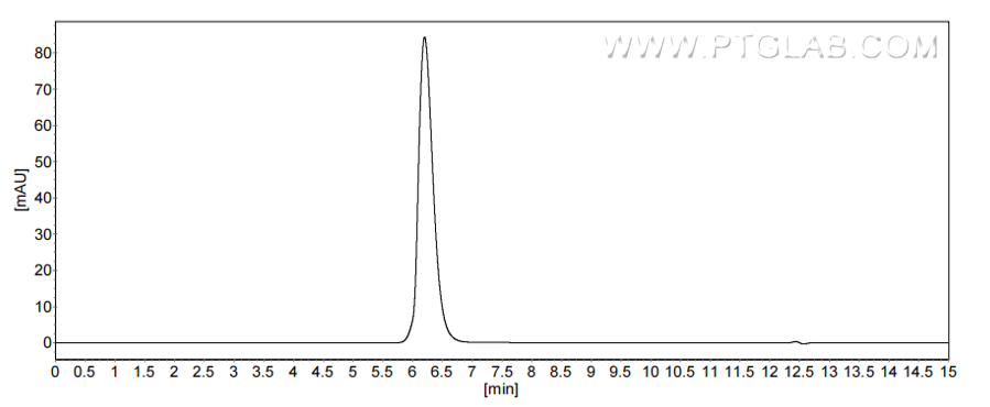 The purity of Mouse CD107b/LAMP2 was greater than 90% as determined by SEC-HPLC.