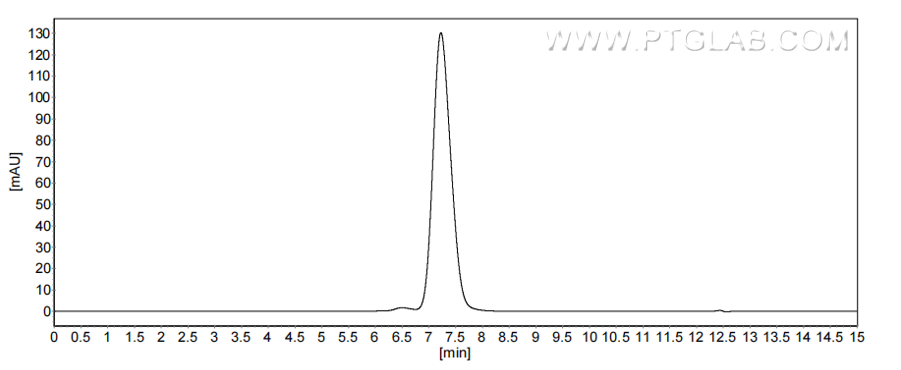 The purity of Human CD63 was greater than 90% as determined by SEC-HPLC.