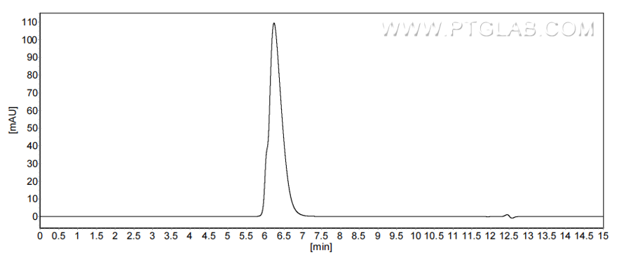 The purity of Human CD6 was greater than 90% as determined by SEC-HPLC.