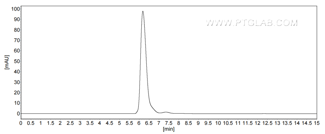 The purity of Mouse CD55 was greater than 90% as determined by SEC-HPLC.