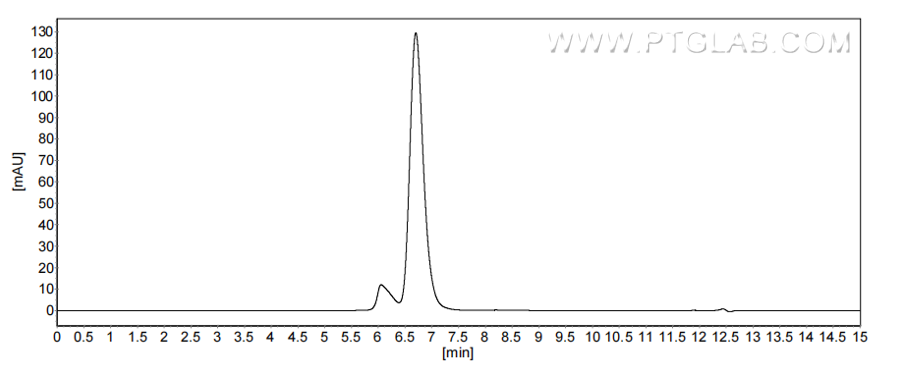 The purity of Mouse IL-4RA/CD124 was greater than 90% as determined by SEC-HPLC. The purity of Mouse IL-4RA/CD124 was greater than 90% as determined by SEC-HPLC.
