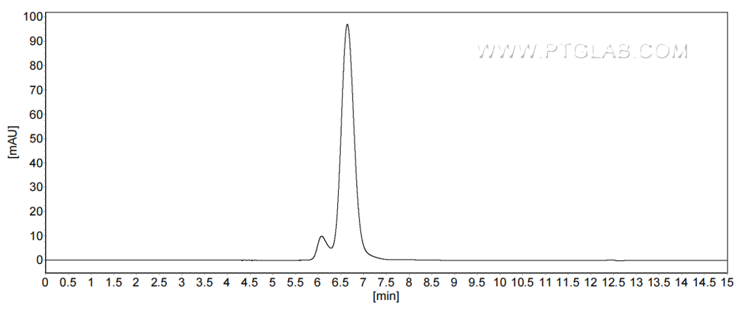 The purity of Human CD244 was greater than 90% as determined by SEC-HPLC.