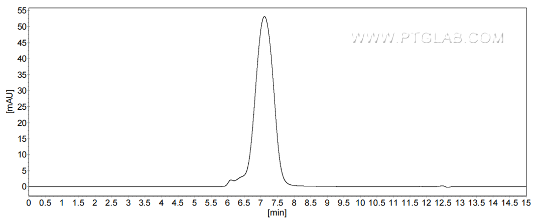 The purity of Human TSPAN7 was greater than 90% as determined by SEC-HPLC. The purity of Human TSPAN7 was greater than 90% as determined by SEC-HPLC.