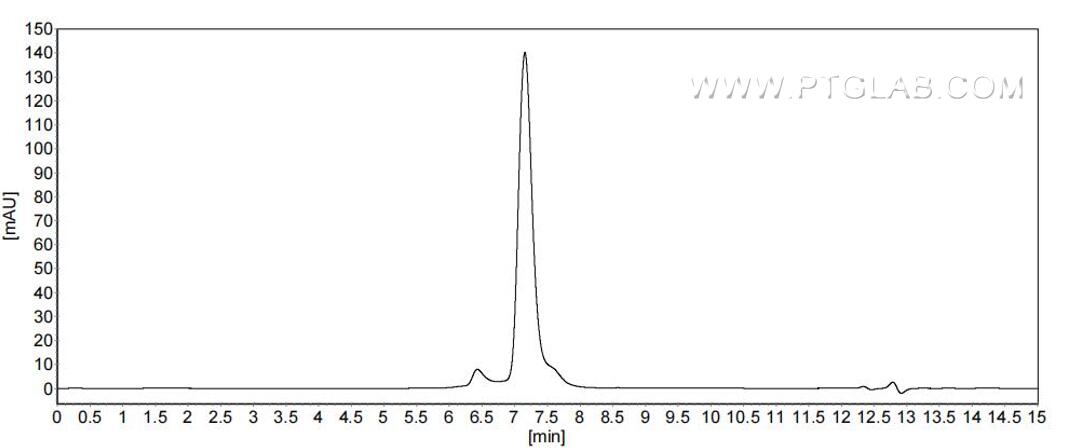 The purity of Human Carbonic Anhydrase IX was greater than 90% as determined by SEC-HPLC.