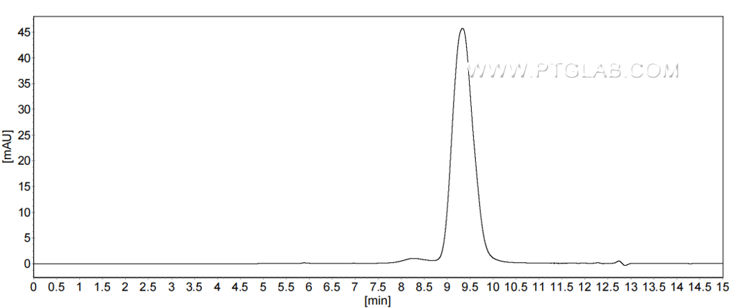 The purity of Human CXCL1 was greater than 90% as determined by SEC-HPLC.