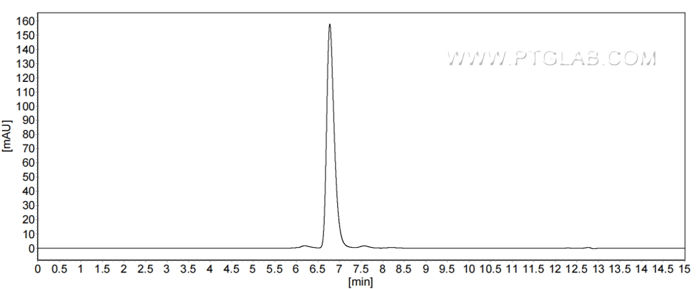 The purity of Human BCAM was greater than 90% as determined by SEC-HPLC. The purity of Human BCAM was greater than 90% as determined by SEC-HPLC.