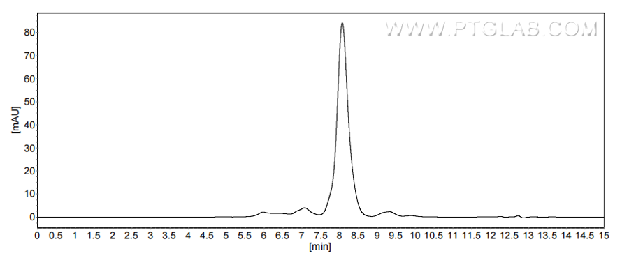 The purity of Human CD94/KLRD1 was greater than 90% as determined by SEC-HPLC.