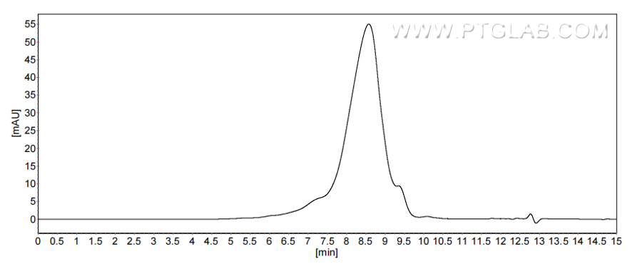 The purity of Human IGLV3-21 was greater than 90% as determined by SEC-HPLC. The purity of Human IGLV3-21 was greater than 90% as determined by SEC-HPLC.