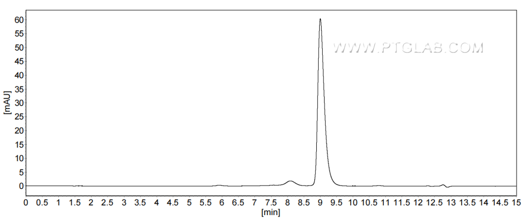 The purity of Human IFNA1 was greater than 90% as determined by SEC-HPLC. The purity of Human IFNA1 was greater than 90% as determined by SEC-HPLC.