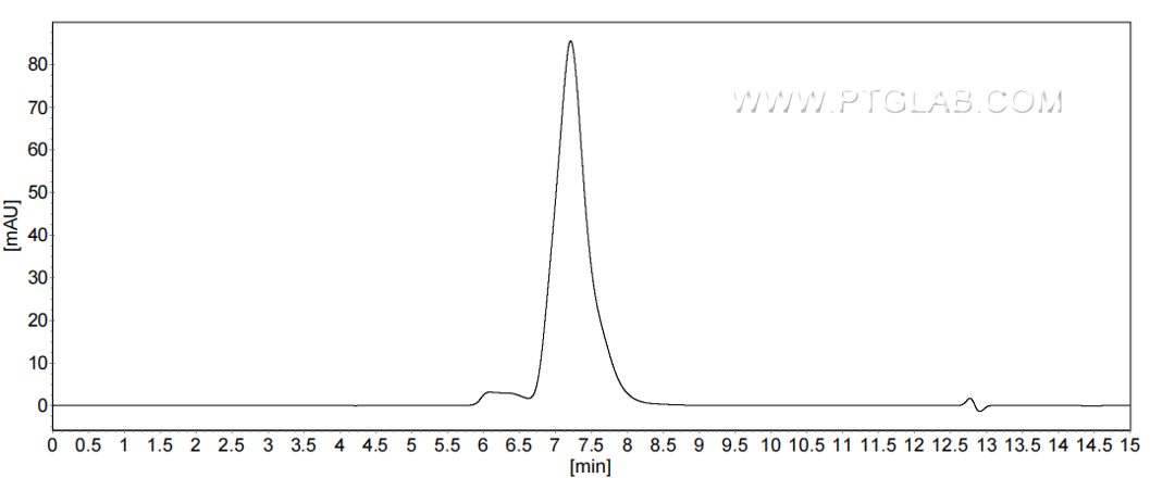 The purity of Human CD107a was greater than 90% as determined by SEC-HPLC.