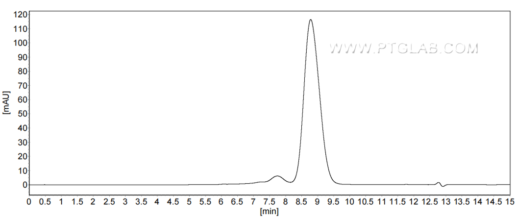 The purity of Human NCR3 was greater than 90% as determined by SEC-HPLC.