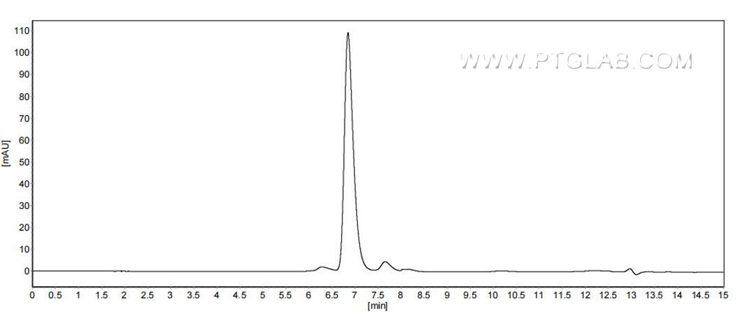 The purity of Mouse MST1R was greater than 90% as determined by SEC-HPLC.