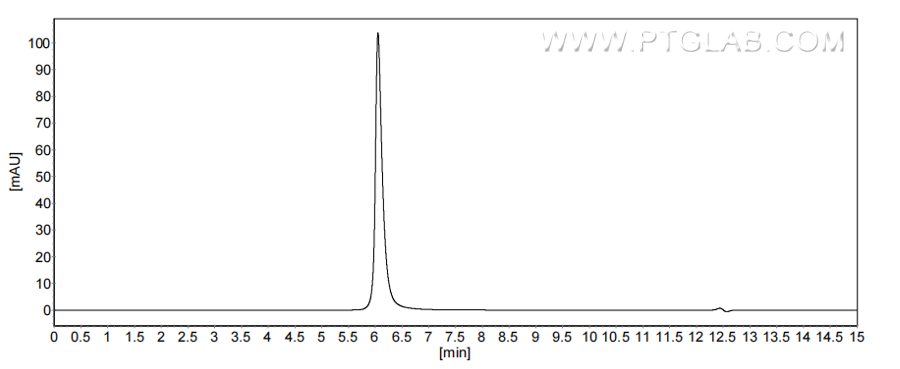 The purity of Mouse LY75/DEC-205 was greater than 90% as determined by SEC-HPLC.