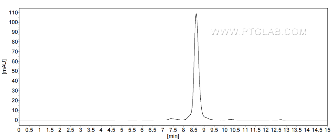 The purity of Mouse CD302 was greater than 90% as determined by SEC-HPLC. The purity of Mouse CD302 was greater than 90% as determined by SEC-HPLC.