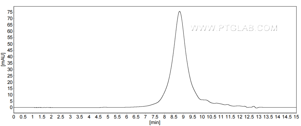 The purity of Mouse CD53 was greater than 90% as determined by SEC-HPLC.