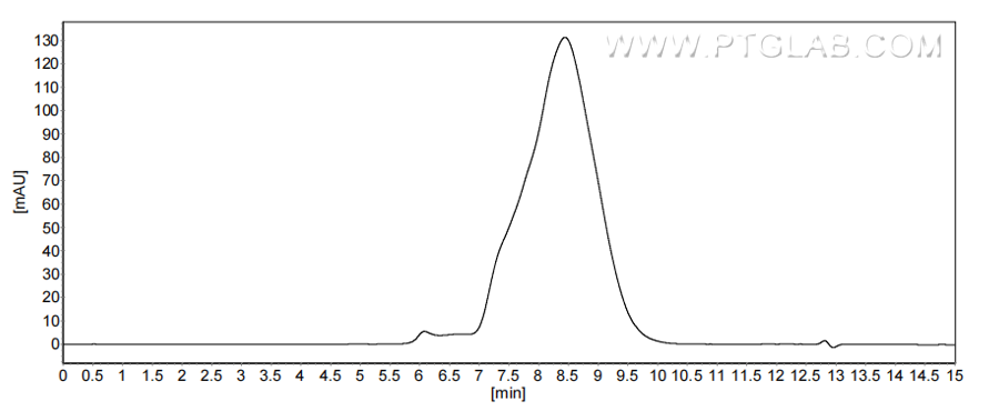 The purity of Mouse MGL1/CD301a was greater than 90% as determined by SEC-HPLC. The purity of Mouse MGL1/CD301a was greater than 90% as determined by SEC-HPLC.