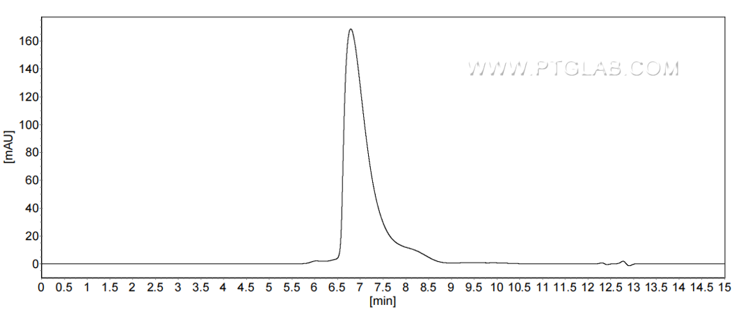 The purity of Mouse SLAM was greater than 90% as determined by SEC-HPLC.