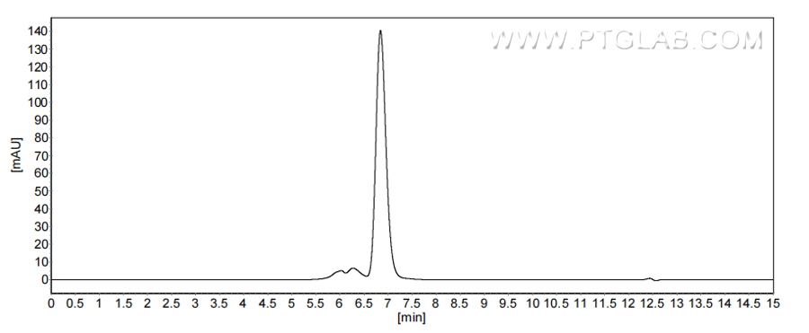The purity of Mouse CHIT1 was greater than 90% as determined by SEC-HPLC. The purity of Mouse CHIT1 was greater than 90% as determined by SEC-HPLC.