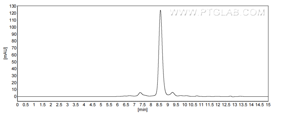 The purity of Human KLK6 was greater than 90% as determined by SEC-HPLC.