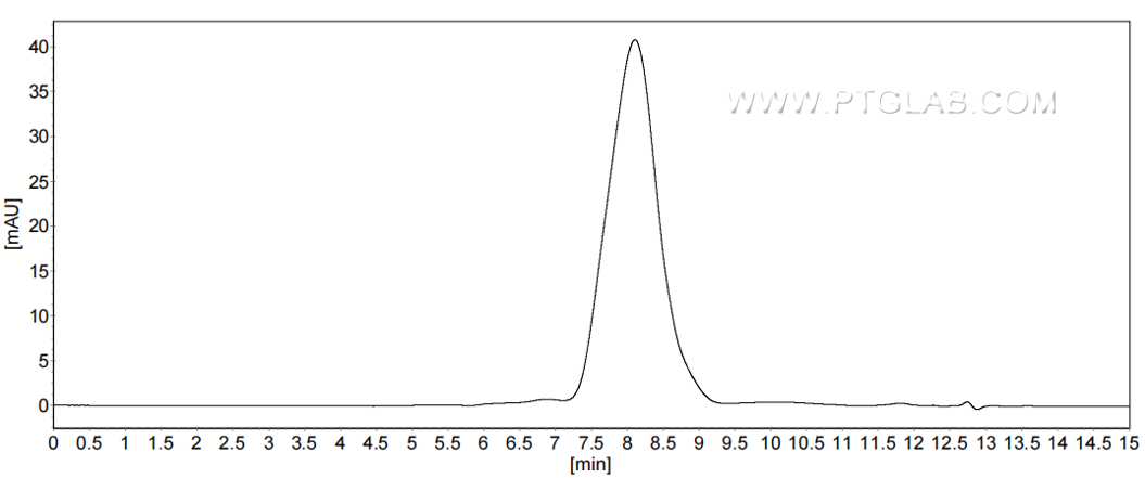 The purity of Mouse TIM-3 was greater than 90% as determined by SEC-HPLC.