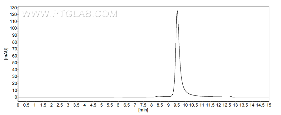 The purity of Human CCL15 was greater than 90% as determined by SEC-HPLC.