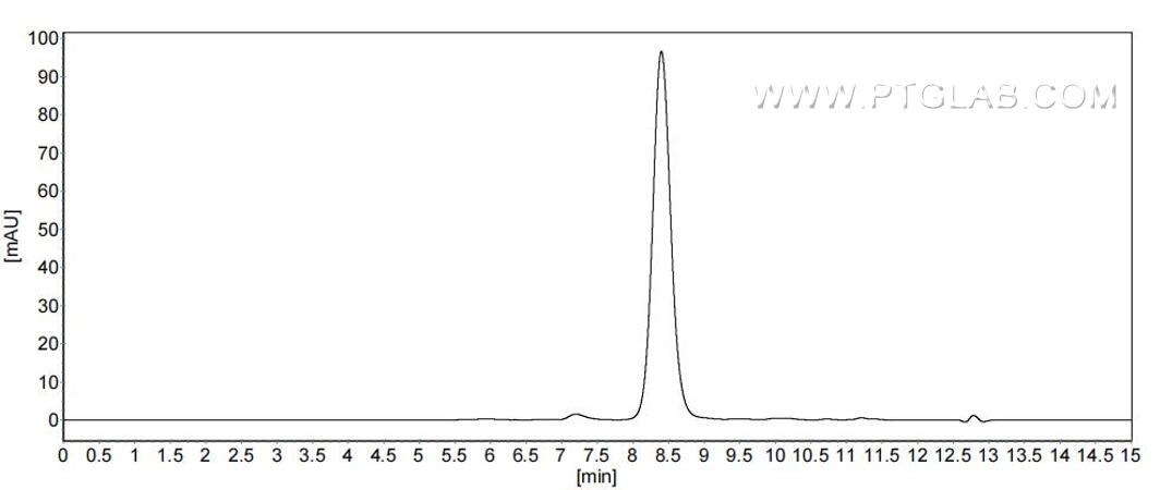 The purity of Human Ephrin B3 was greater than 90% as determined by SEC-HPLC. The purity of Human Ephrin B3 was greater than 90% as determined by SEC-HPLC.
