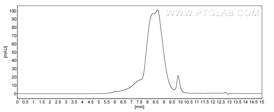 The purity of Human INSL4 was greater than 90% as determined by SEC-HPLC.