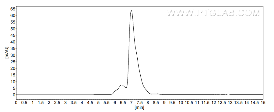 The purity of Human TYRO3 was greater than 90% as determined by SEC-HPLC. The purity of Human TYRO3 was greater than 90% as determined by SEC-HPLC.
