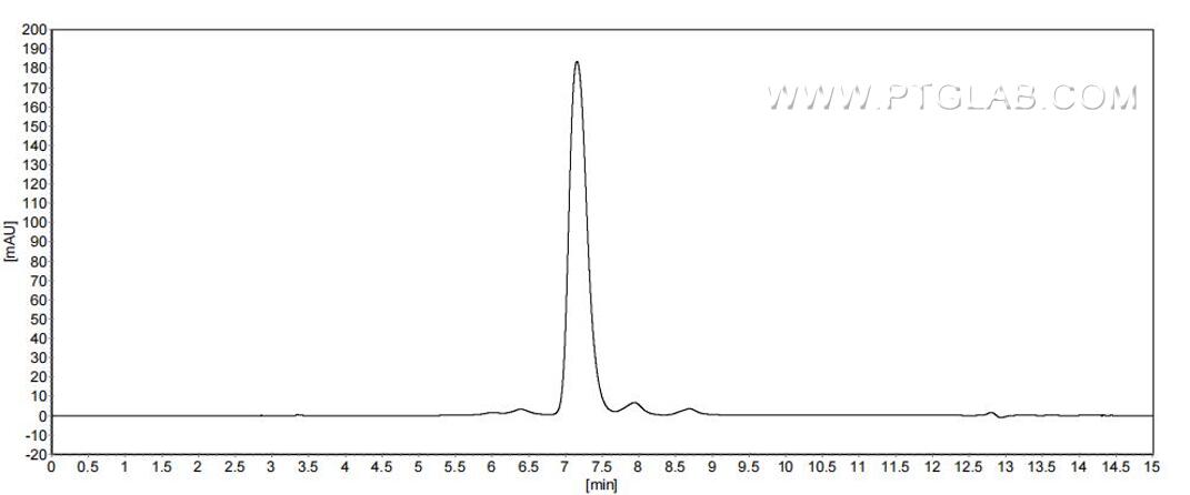 The purity of Human EPHA3 was greater than 90% as determined by SEC-HPLC. The purity of Human EPHA3 was greater than 90% as determined by SEC-HPLC.