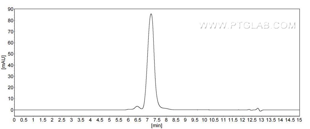 The purity of Mouse TrkB was greater than 90% as determined by SEC-HPLC. The purity of Mouse TrkB was greater than 90% as determined by SEC-HPLC.
