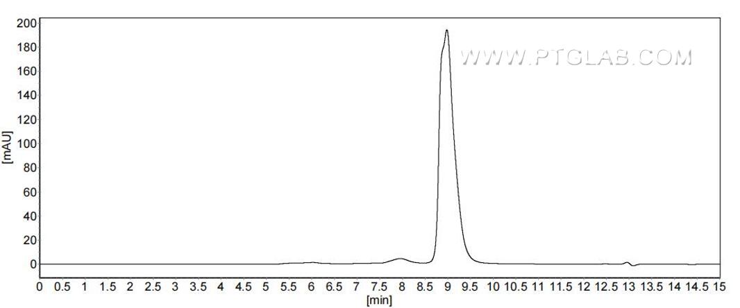 The purity of Mouse IFNA9 was greater than 90% as determined by SEC-HPLC. The purity of Mouse IFNA9 was greater than 90% as determined by SEC-HPLC.